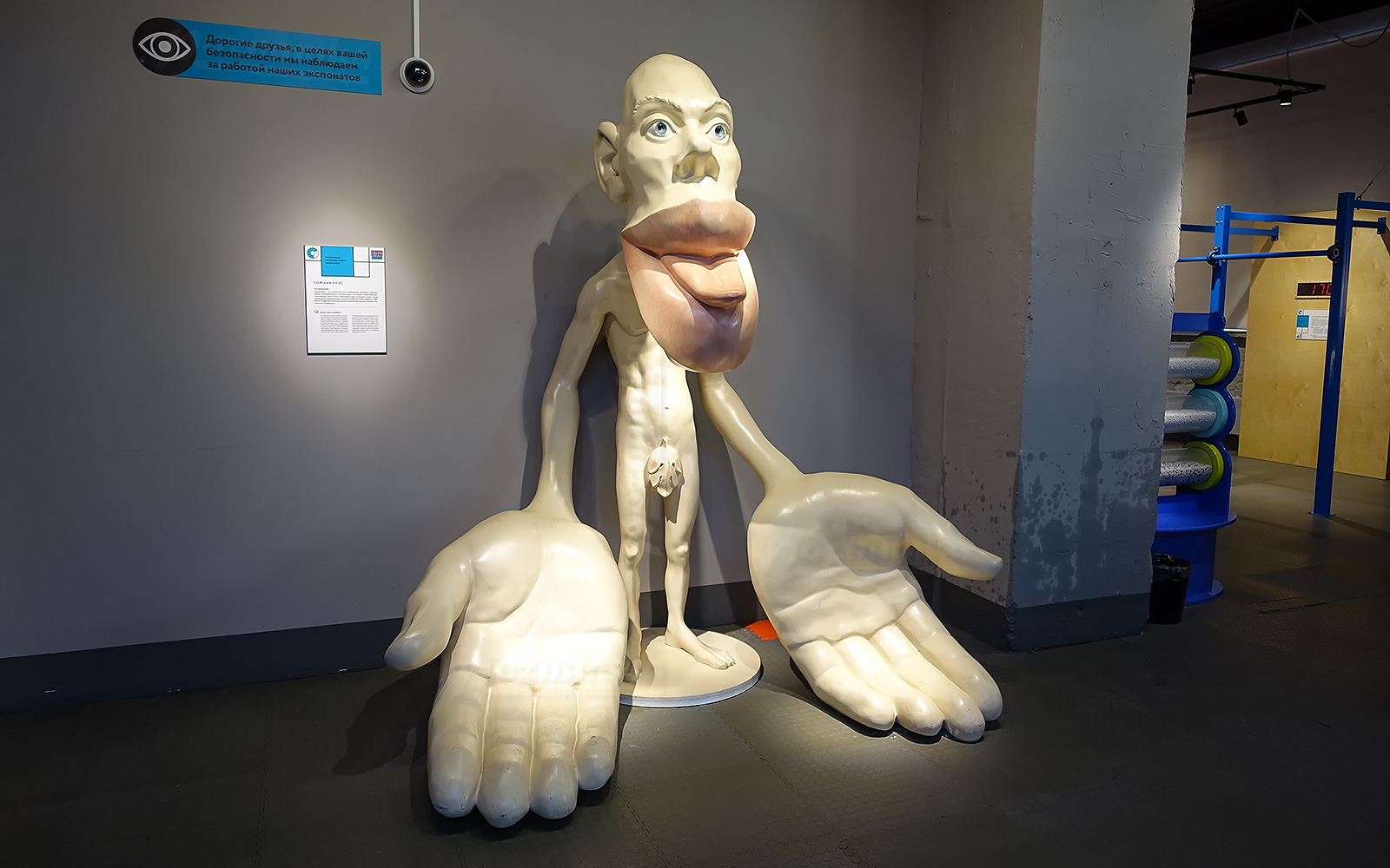 музей человеческого тела нидерланды